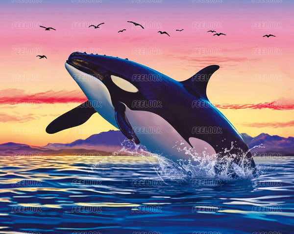  Feelook diamond painting kit Whale Sunset Cloud