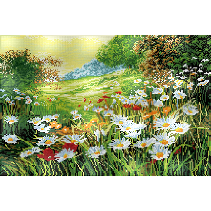 Feelook diamond art painting Daisy Field